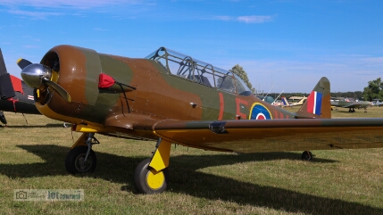 D-FAME, AT-6 Harvard Mk. IV EDOI Bienenfarm 2024