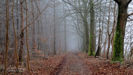 Winterwonderland 2 Aufnahme aus Januar 2025